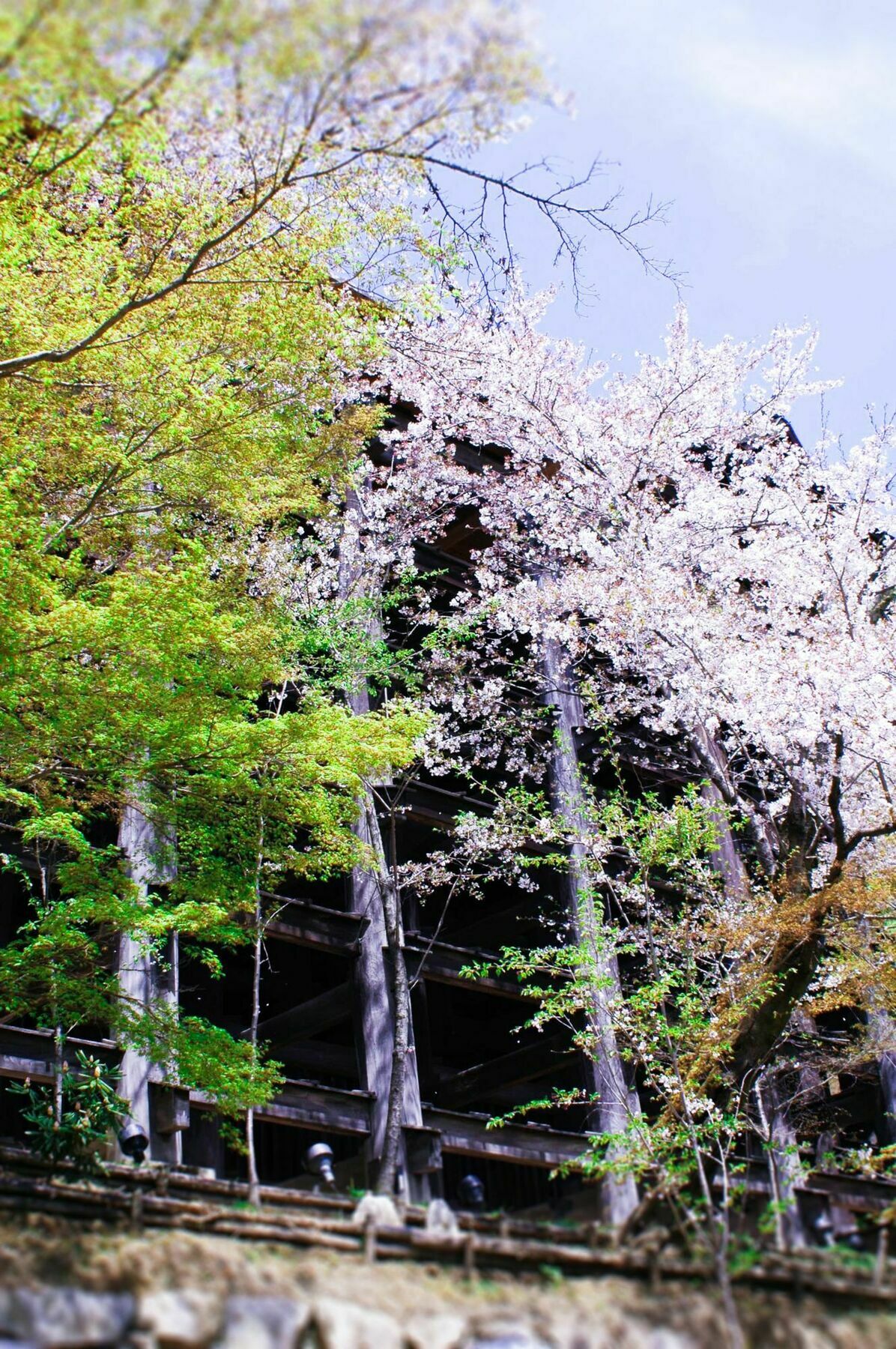Stay Sakura Kyoto Machiya Akari Eksteriør bilde